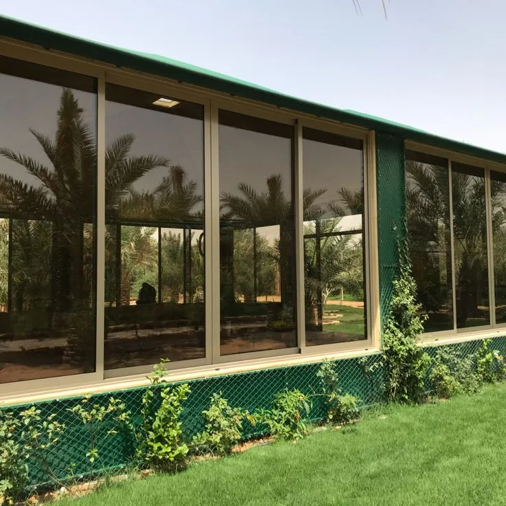 صورة المقال