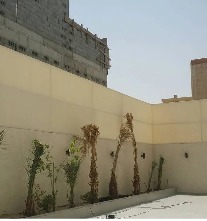 صورة المقال