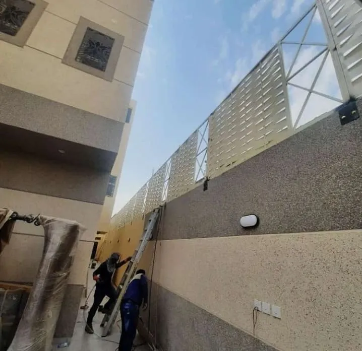 صورة إضافية