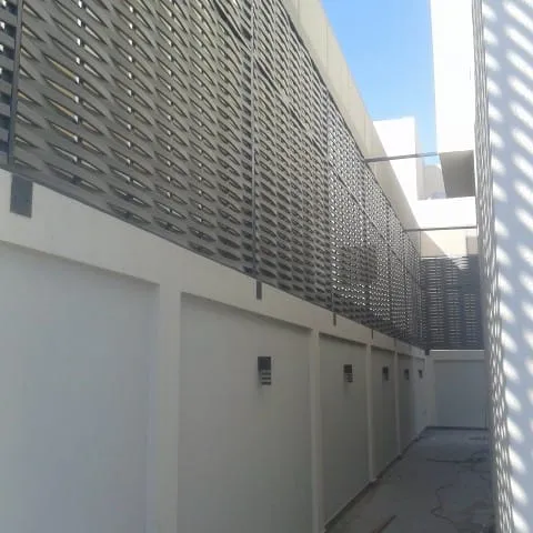 صورة المقال
