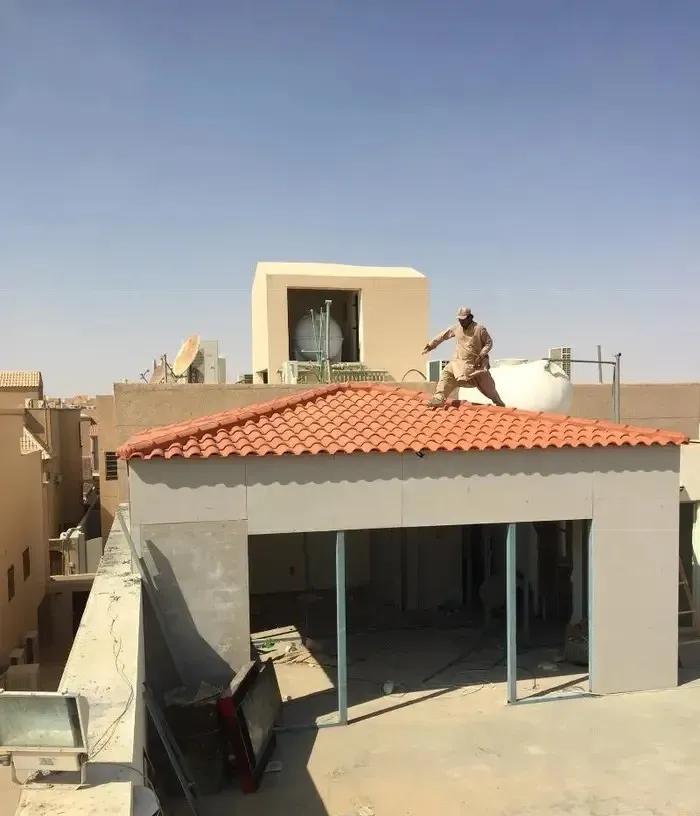 صورة إضافية