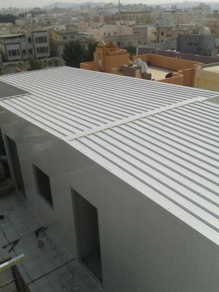 صورة إضافية