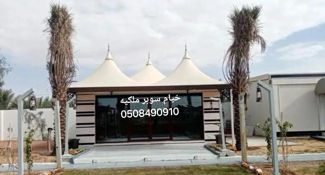 صورة المقال